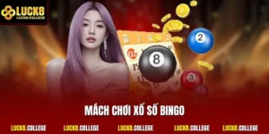 Mách chơi xổ số Bingo