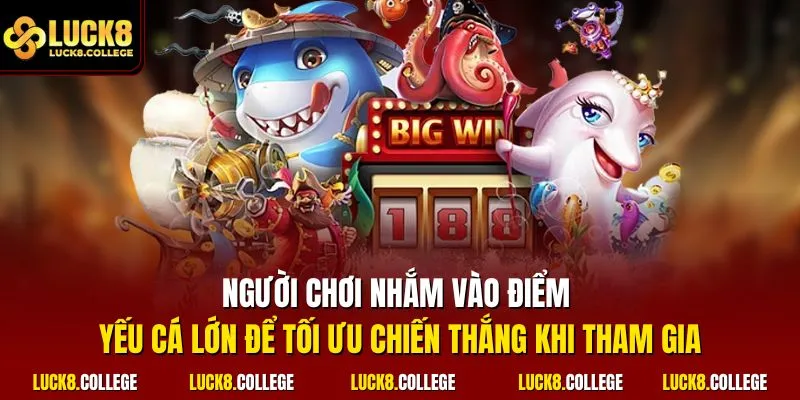 Người chơi nhắm vào điểm yếu cá lớn để tối ưu chiến thắng khi tham gia