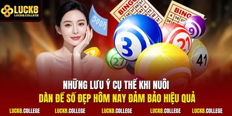 Những lưu ý cụ thể khi nuôi dàn đề số đẹp hôm nay đảm bảo hiệu quả